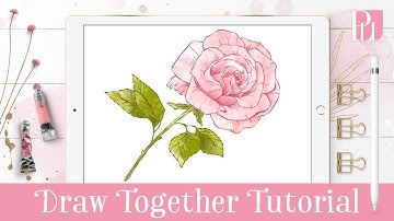 How to draw a Rose step by step in Procreate Tutorial