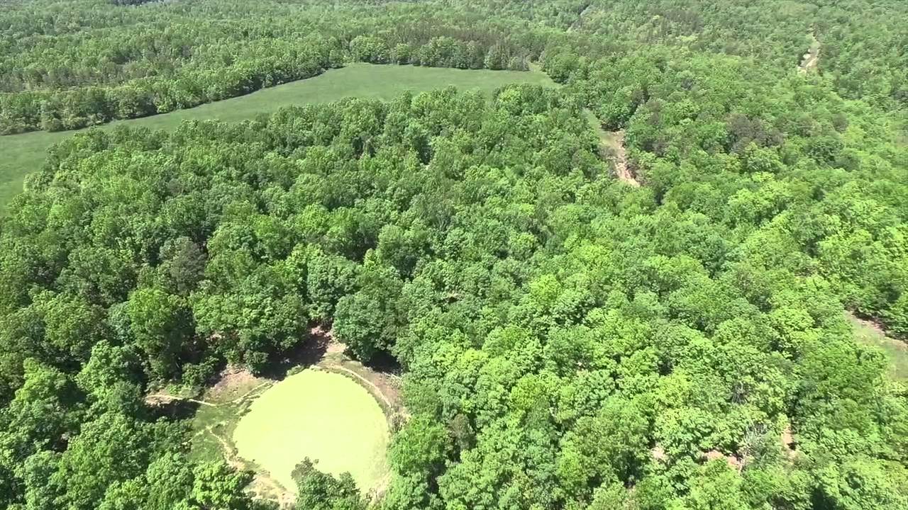 For Sale 373 Acres Peace Valley MO YouTube