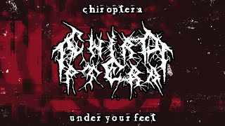 Chiroptera - Under your feet