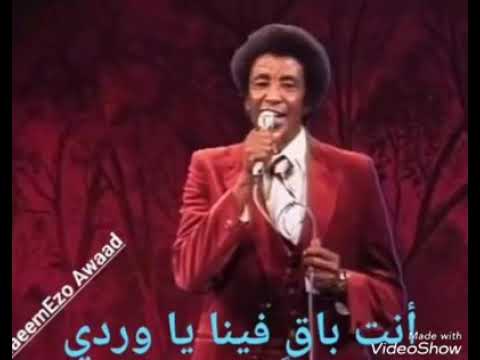 الأستاذ محمد وردي  ماني خائف