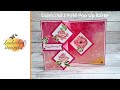 Diamond Z Fold Pop Up Karte | FARBEN DES GLÜCKS | Besondere Kartenform | BASICS MIT PEP Stampin