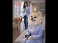 “Antes de abrir o celular, faça isso.”#shorts #pets #goldenretriever #dog #viral