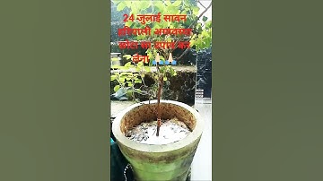 24 जुलाई सावन हरियाली अमावस्या छोटा सा उपाय कर लेना #pardeepmishra #upay #amavasya #trending#ytshort