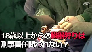 中共の新規定「18歳以上からの臓器狩りは刑事責任問われない？」【禁聞】