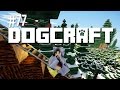 Alpine's Slide | Dogcraft (Ep.77)