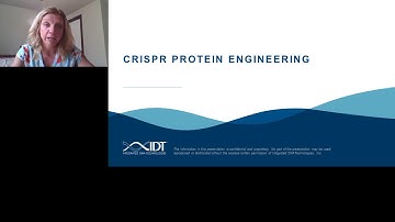 Enhancing efficiency and specificity with improved CRISPR components