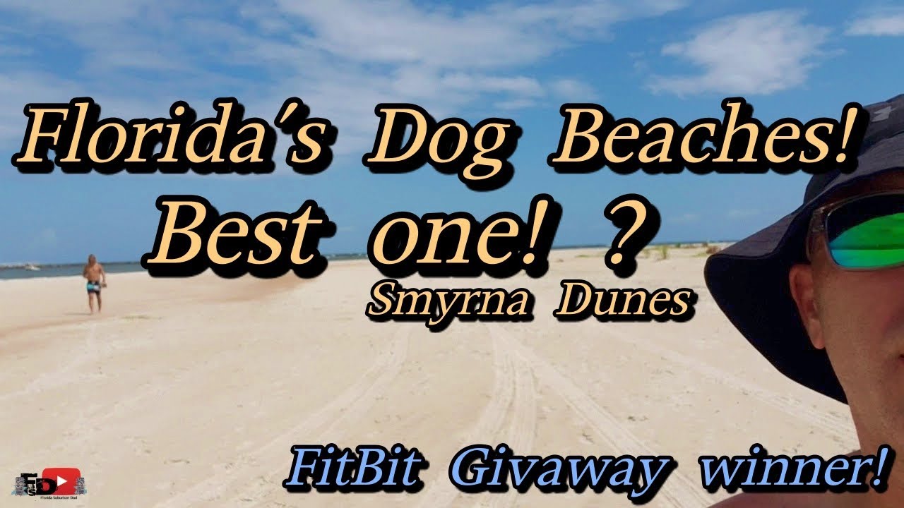 Floridas Dog Beaches! The Best One!? Also Winner Drawn For Giveaway!