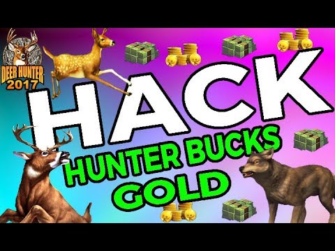 Deer Hunter 2017 CTS tips and tricks ! | Doovi - 480 x 360 jpeg 49kB