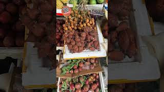Hanoi Old Town Walking Tour Vietnam (Hidden Streets & Local Life) | Free Walking Tours Hanoi
