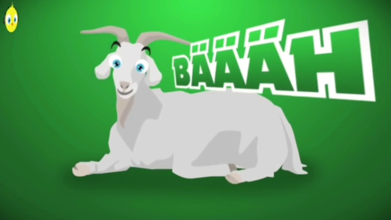 Песня "Цыпленок Пи" на немецком языке в замедленом действии. - YouTube