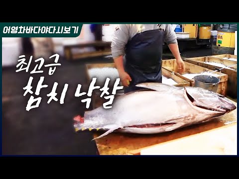 최고의 맛을 자랑하는 츠키즈 어시장. 매일매일 들어오는 신선한 수산물. 1시간 이상 기다려도 꼭 먹고싶은 초밥들 #일본 #참치 #초밥 #츠키즈 #도쿄