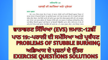 Problems of Stubble Burning|Ch.19,EVS ,Class 12th|Exercise Questions Solutions in Punjabi Medium|