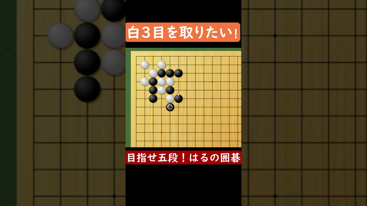 【囲碁】左右同型!