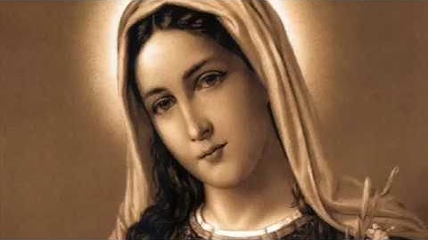 2016 Advent Day 12  Immaculate Conception