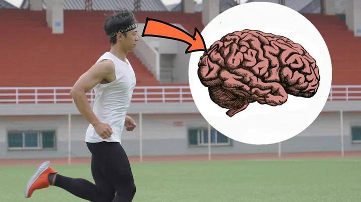 坚持运动，大脑会有怎样的改变？｜99%的人不知道的运动科学，提升记忆力、专注力、自我认知 - 天天要闻