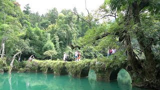 贵州著名5A景区大小七孔三天两夜景点美食住宿游玩全记录