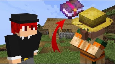 POV : You Finally Got a Villager With Mending In Minecraft