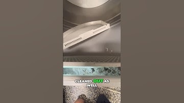 This is Why you should clean the Lint Trap of your Dryer!