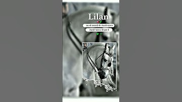 VEER TEJAJI STATUS 🚩🙏🙏 #veertejashorts #jaat jaat status