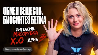 Мясорубка день 3. Обмен веществ. Биосинтез белка | ЕГЭ по биологии | Ксения Напольская 100балльный