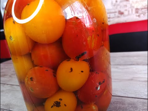 Pickled tomatoes. Tomatoes for the winter.