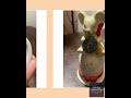 Hand-Painted Ceramic Mouse Christmas Bell With Red Bow &amp; Wreath