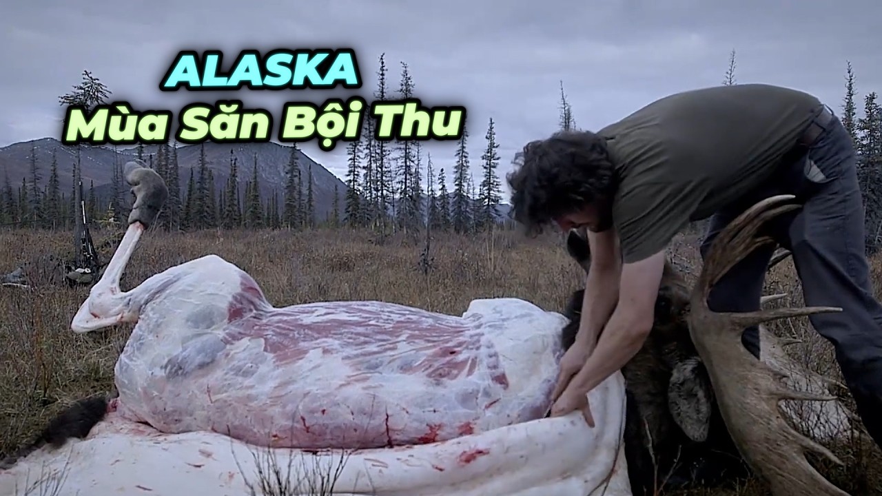Sinh Tồn Alaska | Một Mùa Bội Thu Của Các Thợ Săn | Đánh Cá Hồi, Cá Trắng & Săn Nai Sừng Tấm