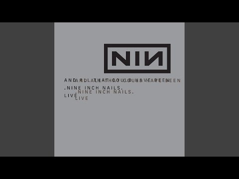 Nine Inch Nails - Something I Can Never Have
