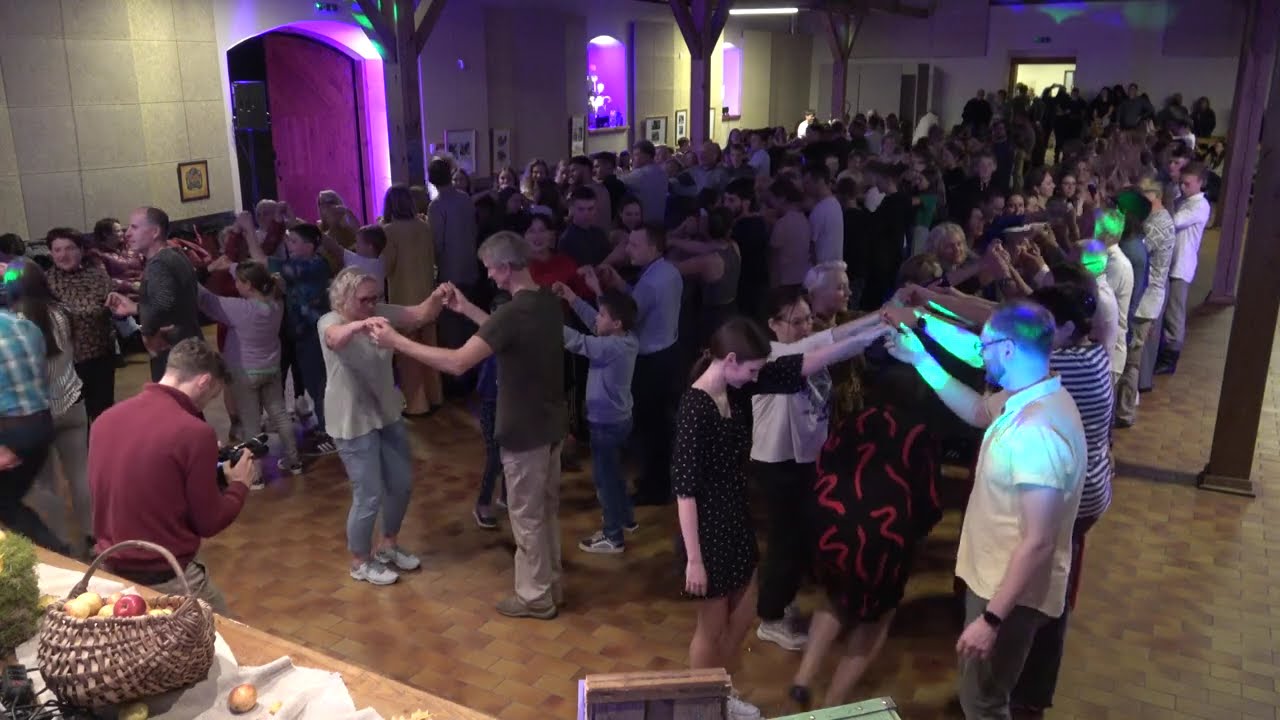 Grybų raut. DŪZGINĖLIS. Naktėšuokē Plateliūs. Plateliai 2024 10 19