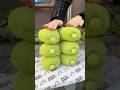 Matcha donuts🍩