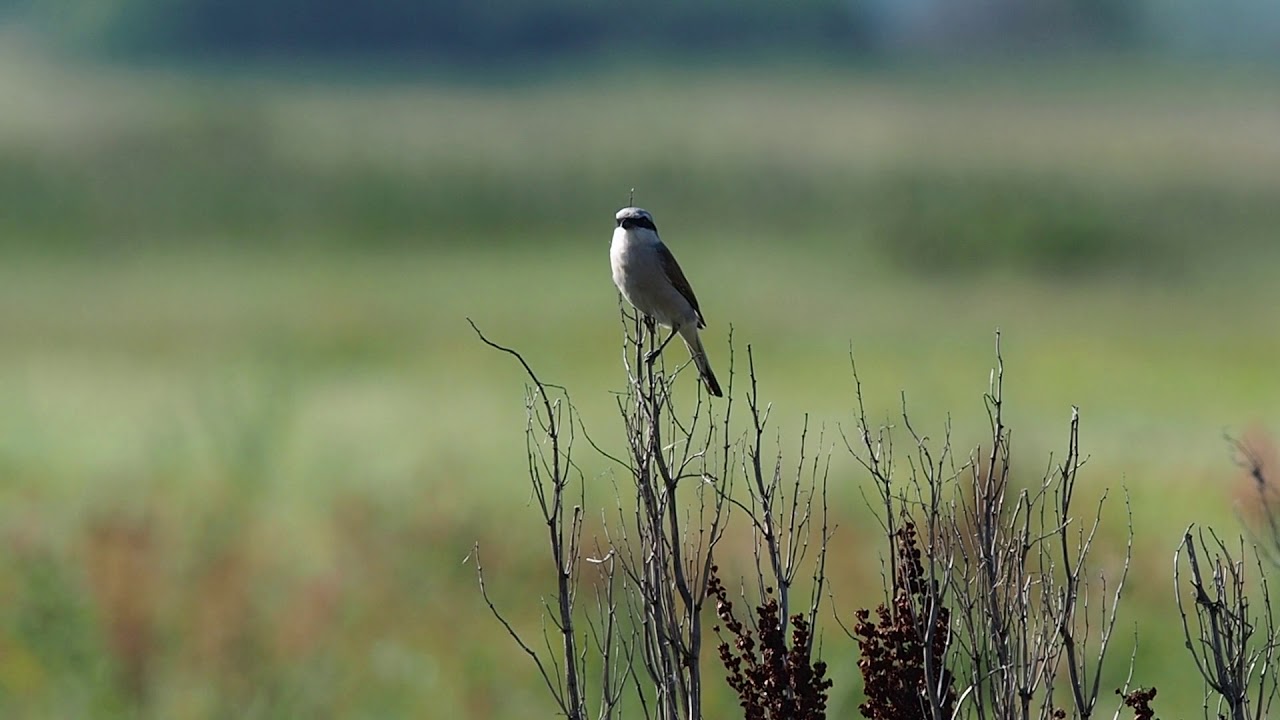 Москворецкий пойменный заказник карта
