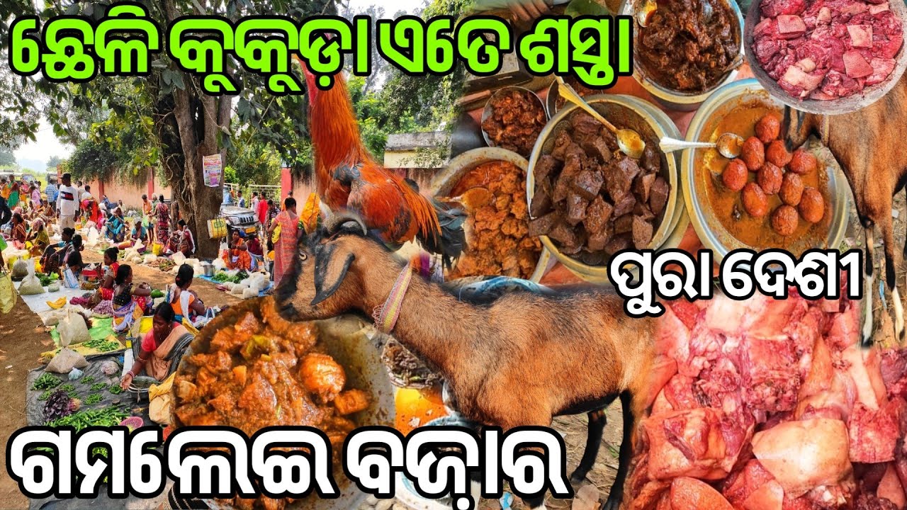 Biggest Tribal Market Of Odisha|Tribal Market Gamlei