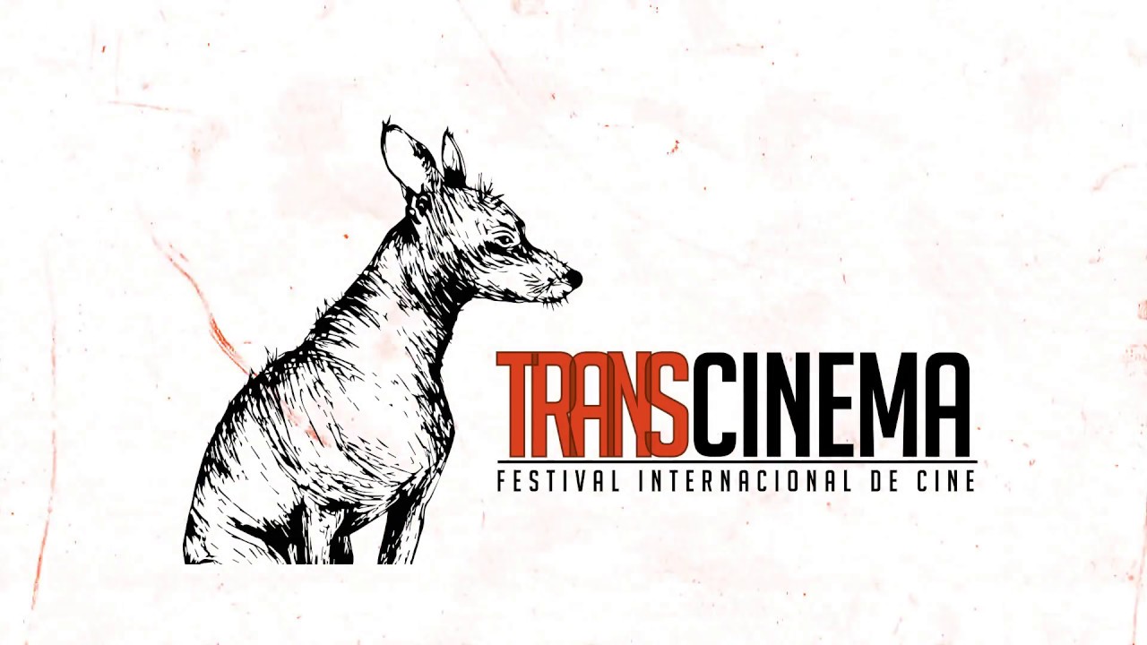 Reel Transcinema 2017