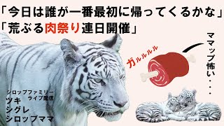 伊豆アニマルキングダム公式チャンネルの配信のサムネイル画像