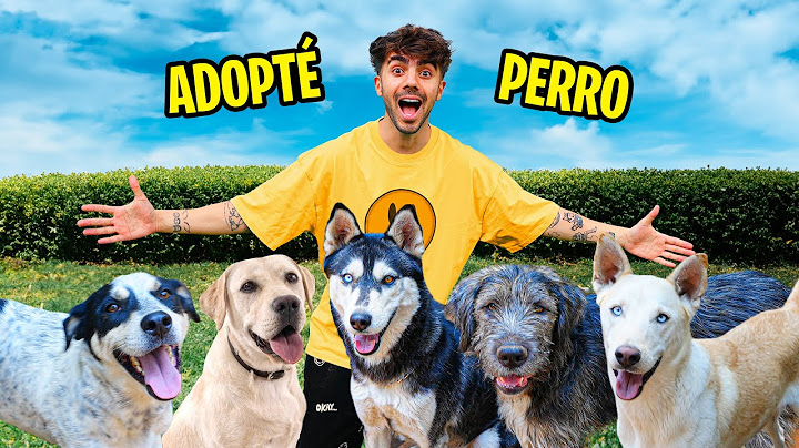 ADOPTE UN PERRO POR 24 HORAS!