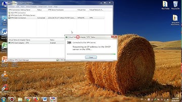 Lỗi disabled và offline của phần mền SoftEther VPN Client