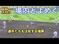巨人原監督「門脇は想像以上!二岡クラスの強肩」と絶賛!門脇誠選手の送球に場内が沸く!読売ジャイアンツ 春季キャンプ 内外連携プレー