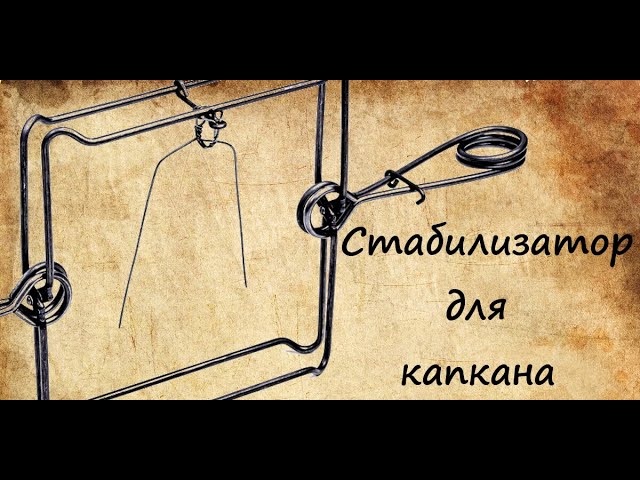 Запрет на капканы. | Страница 5 | paraskevat.ru • Снегоходный форум