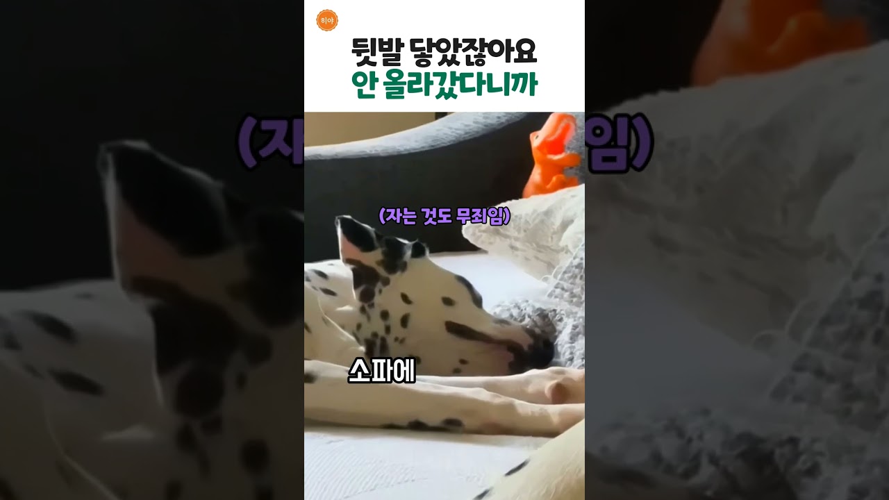 이거 착석 맞나요?
