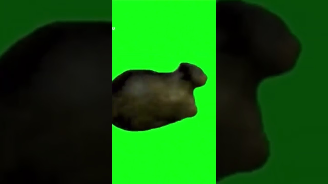 U I A 🗣️🗣️🗣️🗣️