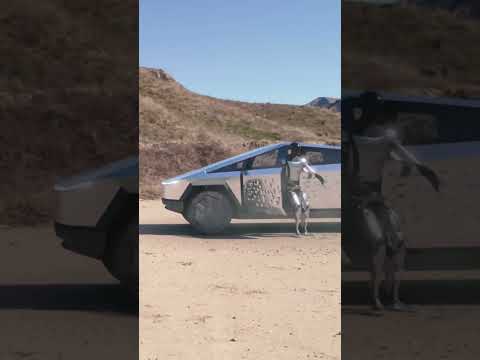 These Robots testing the Bulletproof #cybertruck  #shorts