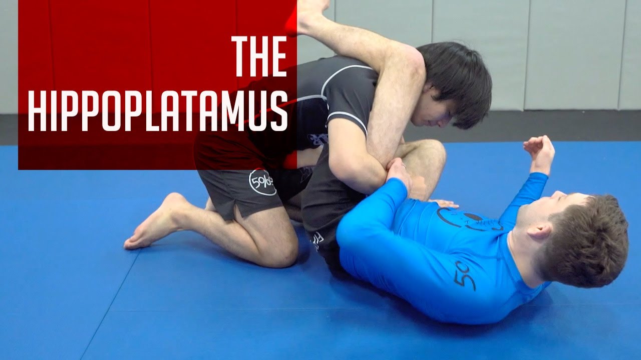 Shell Guard Cut Class Shell Guard Counter: The Hippoplatamus - YouTube