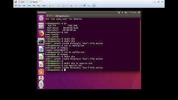 Perintah-Perintah Input dan Output Sistem Operasi -LINUX
