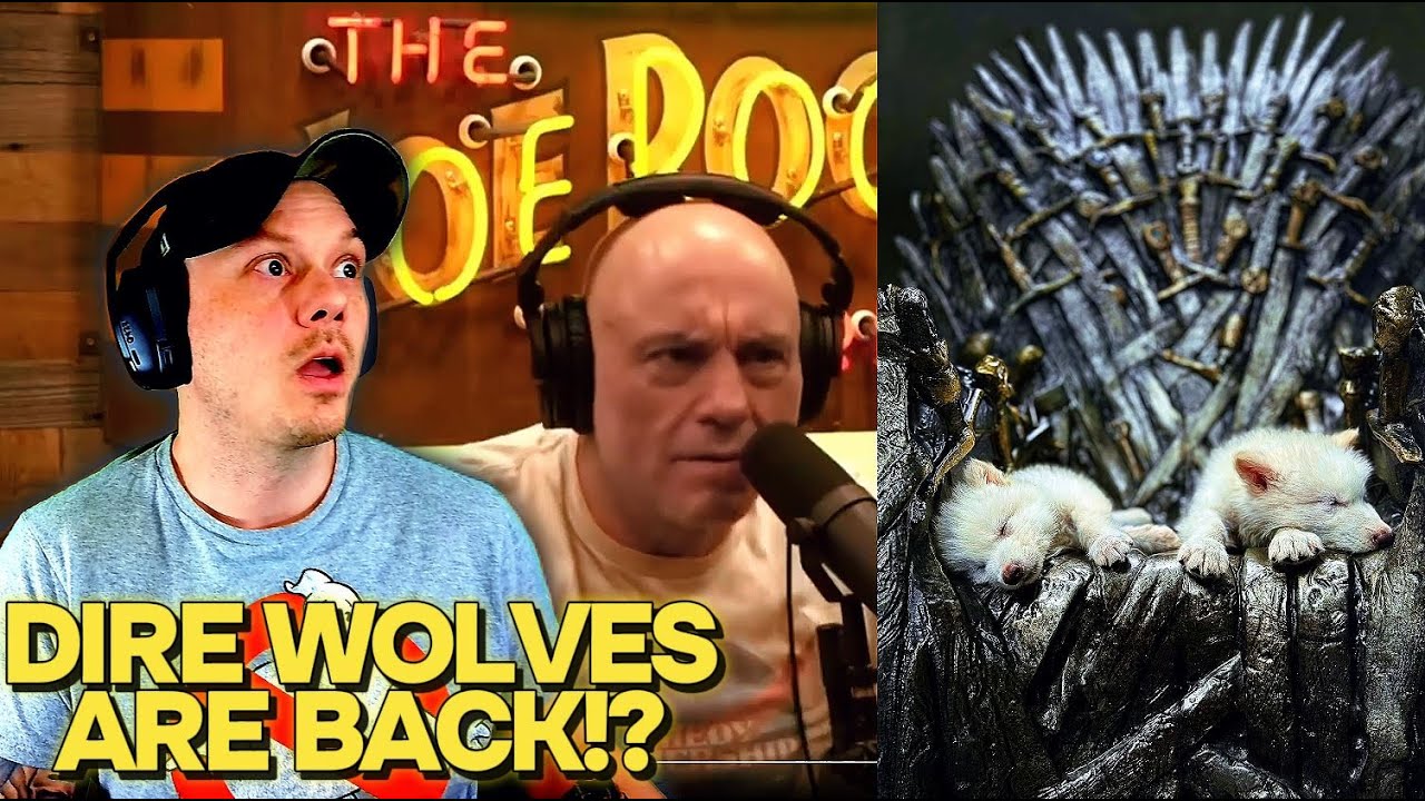 Joe Rogan Talks with Ben Lamm - De-Extinct Dire Wolves After 12,000 ...