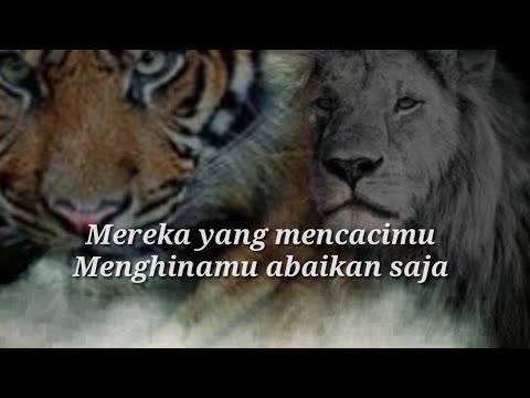 Kata kata bijak sang harimau putih terbaru