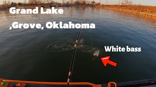 Video thumbnail of "Fishing for white bass (watch until the end!)"