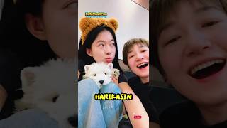 Kankama ilginç köpek süprizi 😻🥰😻