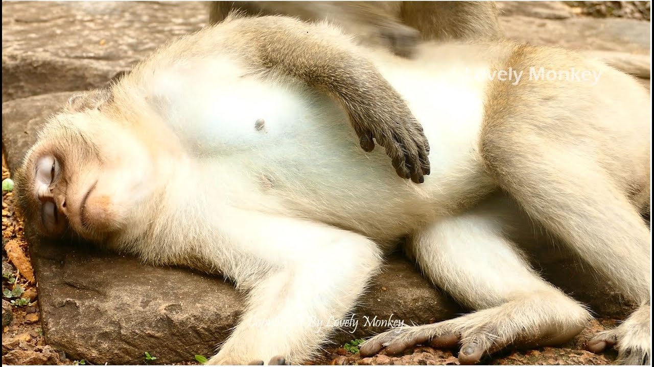 Pity Piper Whole Day Tiredness Take Care Baby Dustin Without Thinking Herself Is Pregnant Period.