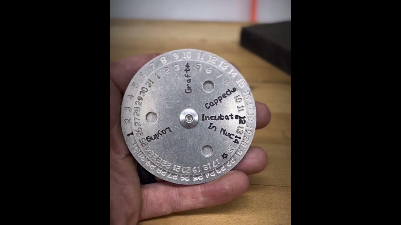 Dc’s Gadgets Queen Rearing Calendar