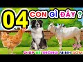 Con gì đây | Màu sắc và các con vật | Màu gì đây | Kênh trẻ em | Dạy trẻ thông minh sớm - P.2